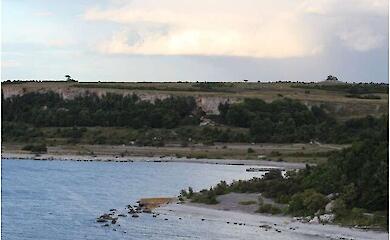 Wolves have been found on a tiny island in the Baltic, which may have been brought there by humans. What does that mean?