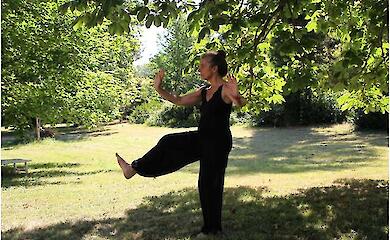 Tai chi has been recognised as an alternative to psychotherapy for chronic insomnia