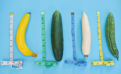 Why ducks have corkscrews, cats have spikes and humans have a 'simple' penis: evolutionist explains