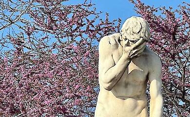 Remorse during trial: how it is decided whether the offender is truly sorry