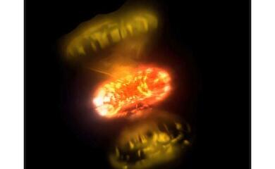 Astronomers have seen the explosion of a star "live" and in detail for the first time