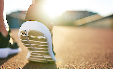 Running and dopamine: scientists show how physical activity improves movement in the elderly