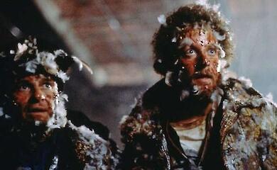 "Home Alone" reality: the "wet bandits" wouldn't survive half the traps