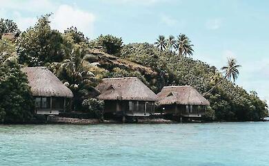 "Green" holidays without cheating: tips for tourists