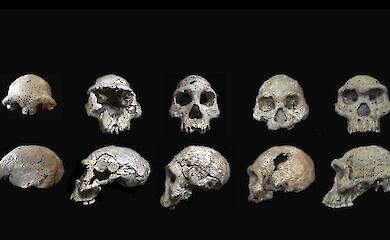 Dmanisi: teeth showed that two kinds of humans came out of Africa