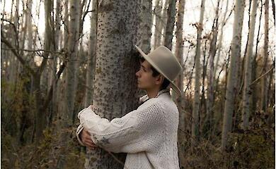 Why tree hugging has become popular with young Chinese people