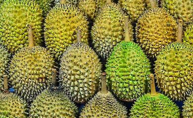 Why China is buying up almost all the world's durian