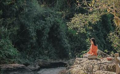 Stable memory trace: scientists find out what doesn't disappear even when you forget it