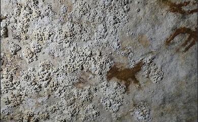 Scientists have dated an ancient handprint nearly 68,000 years old