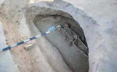 DNA wasn't needed - proteins in dental calculus tell us what the Scythians ate