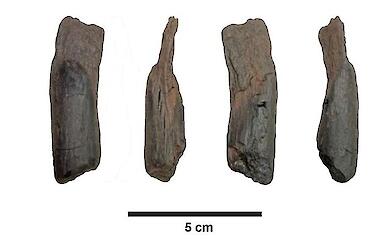 The oldest wooden tools 430,000 years old have been found in Greece