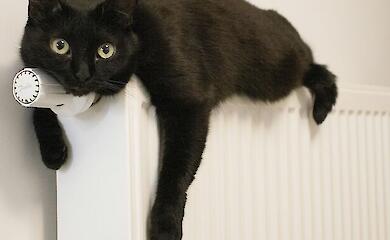 Gdyby w domu nie było ciepła, nie byłoby potrzeby płacenia za ogrzewanie - Zelensky