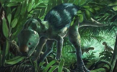 A tiny dinosaur has been discovered in Spain, closing a gap in the evolution of herbivorous lizards