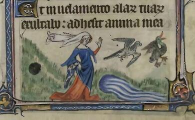 Falconry as a source of female power in the Middle Ages