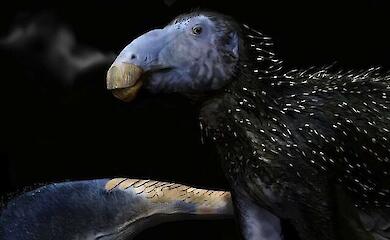 A new dinosaur with unique hollow spines has been discovered in China - the likes of which have never been found in dinosaurs before