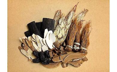 What is "Punk Wellness" and why it's so popular in China