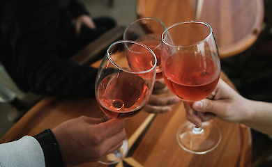 Seeing a blogger drink makes you want to drink too: study measures effect