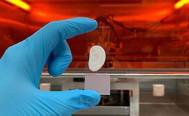 Scientists are closer to creating an "ear from a test tube"