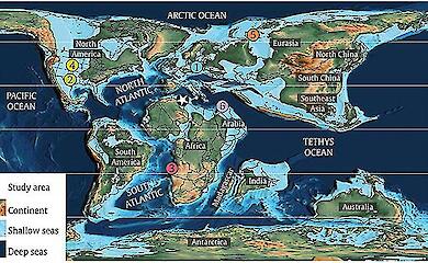 A plesiosaur bone has been found in north-eastern Algeria - the first such find in the country