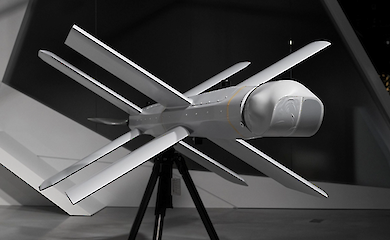 Drone with artificial intelligence? What fell on Maidan Nezalezhnosti - statement of the Ministry of Defence and experts' opinion