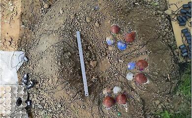 Reconstruction of an oviraptor dinosaur egg clutch