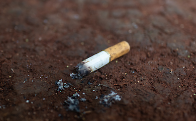 Close-up of a cigarette butt
