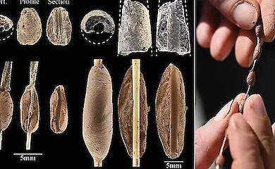 ancient clay beads with fingerprints