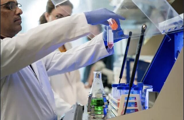 Sniff Study Nasal spray improved memory and reduced brain inflammation