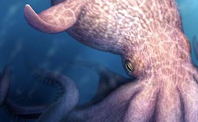 Giant octopuses ruled the oceans 100 million years ago