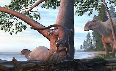 Starożytne zwierzę wielkości chomika żyło obok dinozaur&oacute;w