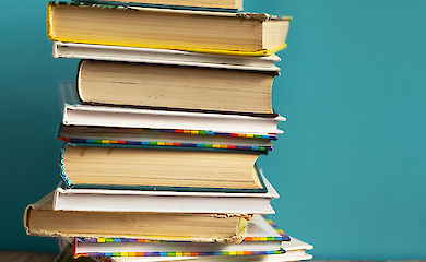 Scientists have found that different languages develop according to similar rules
