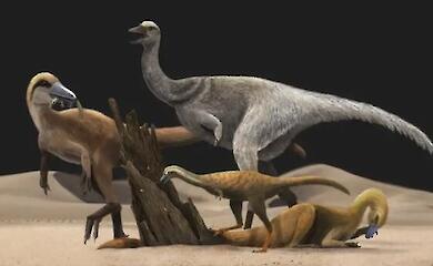 Dinosaurs with short "legs" may have fed like anteaters