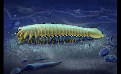 A 518-million-year-old fossil has shed light on the origin of spider fangs