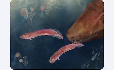 Fossils dating back 309 million years have cast doubt on the ‘frog’ model of evolution