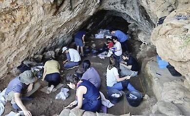 Neanderthals and Homo sapiens may have shared common traditions