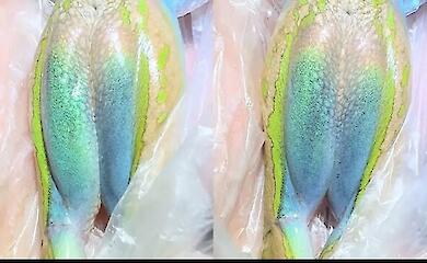 A hidden &lsquo;weapon&rsquo; has been discovered on the thighs of an Australian frog