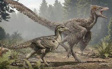 A fossilised bird from China has revealed how dinosaurs lost their tails
