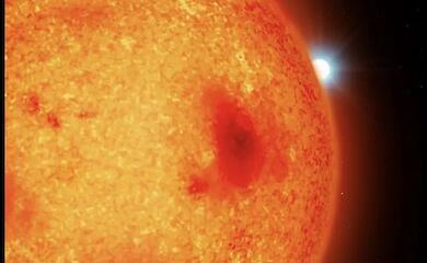 Four hidden white dwarfs have been discovered near the Sun