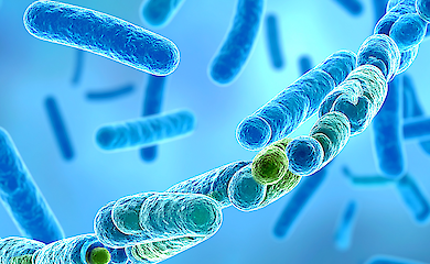 A gene conferring resistance to the &lsquo;last-resort antibiotic&rsquo; has been found in an Australian body of water
