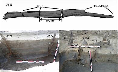 7,000-year-old wooden fish traps have been discovered in Norway