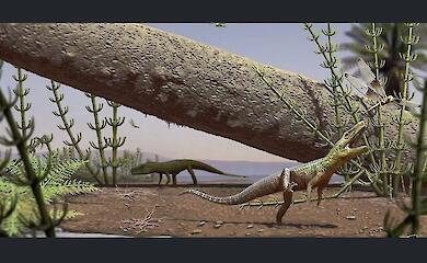 A reptile that lived 240 million years ago has been discovered in Brazil
