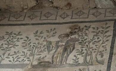 How women managed winemaking on the estates of Ancient Rome