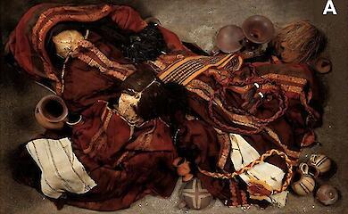 CT scans and hair analysis have revealed new details about the deaths of the Inca victims
