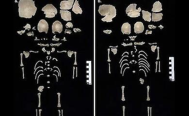 An unusual burial site containing infants has been discovered at the site of an ancient toilet