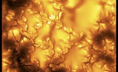 Vortices resembling ocean waves have been spotted in an image of the Sun