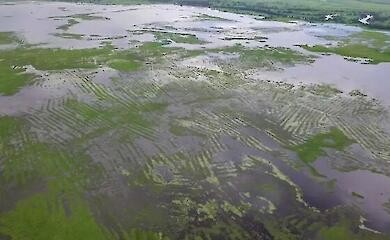 Who built the vast canal system of ancient Colombia?