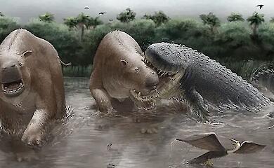 Who was the top predator 13 million years ago? The answer is preserved in the bones of its prey