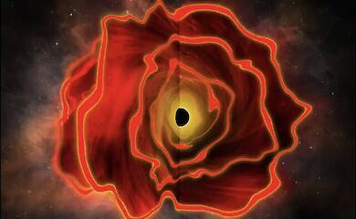 Astronomers have discovered a new type of astrophysical object – a ‘star with a black hole’