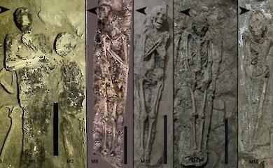 Human and dog mummies have revealed the secret of an ancient tomb in Egypt
