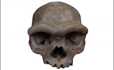 The bones of mysterious ancient people, standing almost 190 cm tall, have been found on the seabed
